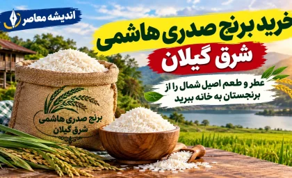 خرید برنج صدری هاشمی شرق گیلان؛ عطر و طعم اصیل شمال را از برنجستان به خانه ببرید