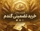 قیمت خرید تضمینی گندم چه زمانی اعلام می‌شود؟ آخرین خبر از نرخ گندم و زمان اعلام رقم نهایی