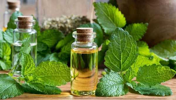 رایحه‌ درمانی؛ راهی ساده برای تقویت سلامت مغز و بهبود حافظه + معرفی ۵ اسانس مؤثر و روش‌های استفاده علمی