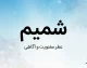 سامانه شمیم چیست؟ | ورود به سامانه شمیم سازمان ثبت اسناد، ثبت‌نام، کاربردها و نحوه استفاده از shamim.ssaa.ir