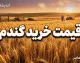 قیمت خرید تضمینی گندم ۱۴۰۵ اعلام شد؛ ۴۷,۵۰۰ تا ۴۹,۵۰۰ تومان بر اساس کیفیت