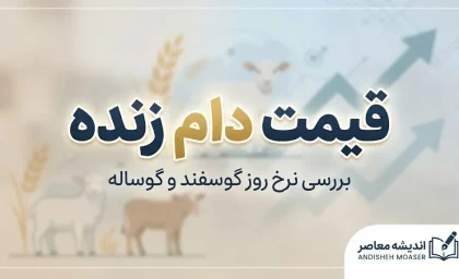 قیمت دام زنده امروز؛ نرخ گوسفند و گوساله زنده در بازار چقدر است؟