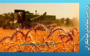 گندمکاران | زمان تسویه کامل مطالبات اعلام شد / وعده رئیس سازمان برنامه و بودجه برای پرداخت ۸۰ همت باقیمانده تا پایان هفته آینده / گندمکاران منتظر واریز ۷۰ همت دیگر هستند