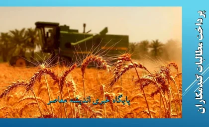 گندمکاران | زمان تسویه کامل مطالبات اعلام شد / وعده رئیس سازمان برنامه و بودجه برای پرداخت ۸۰ همت باقیمانده تا پایان هفته آینده / گندمکاران منتظر واریز ۷۰ همت دیگر هستند