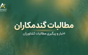 آخرین خبر از مطالبات گندمکاران در ۳۱ شهریور ۱۴۰۵؛ زمان واریز باقی پول گندم اعلام شد