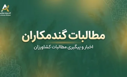 آخرین خبر از مطالبات گندمکاران در ۳۱ شهریور ۱۴۰۵؛ زمان واریز باقی پول گندم اعلام شد