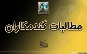 آخرین وضعیت پرداخت مطالبات گندمکاران در ۳ مهر ۱۴۰۵ | خبر جدید از واریز پول گندمکاران و زمان تسویه باقی مانده