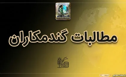 آخرین وضعیت پرداخت مطالبات گندمکاران در ۳ مهر ۱۴۰۵ | خبر جدید از واریز پول گندمکاران و زمان تسویه باقی مانده