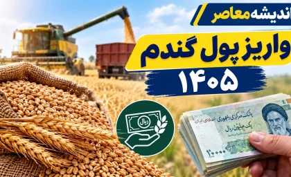 واریز پول گندم ۱۴۰۵ به مراحل پایانی رسید؛ تسویه کامل مطالبات تا پایان شهریورماه