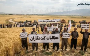 پرداخت صددرصدی مطالبات گندمکاران تا پایان مهر ۱۴۰۵ | خبر خوش برای گندمکاران؛ ۱۰ درصد باقی مانده چه زمانی واریز می شود؟