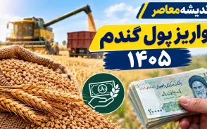 مطالبات گندمکاران ۱۴۰۵؛ آخرین خبر از واریز پول گندم، مبلغ باقی مانده و زمان تسویه کامل