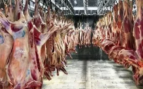 قیمت گوشت قرمز امروز چهارشنبه ۱۵ مهر ۱۴۰۵ | ثبات قیمت ها در بازار / گوشت گوسفندی و گوساله بدون تغییر + جدول